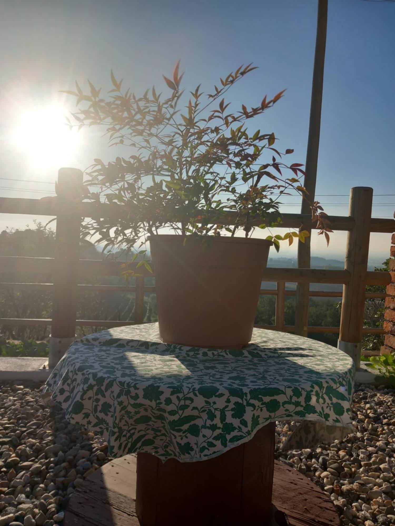 Bed and Breakfast Il Cortile Di Greta Lu (Piedmont) Exteriér fotografie