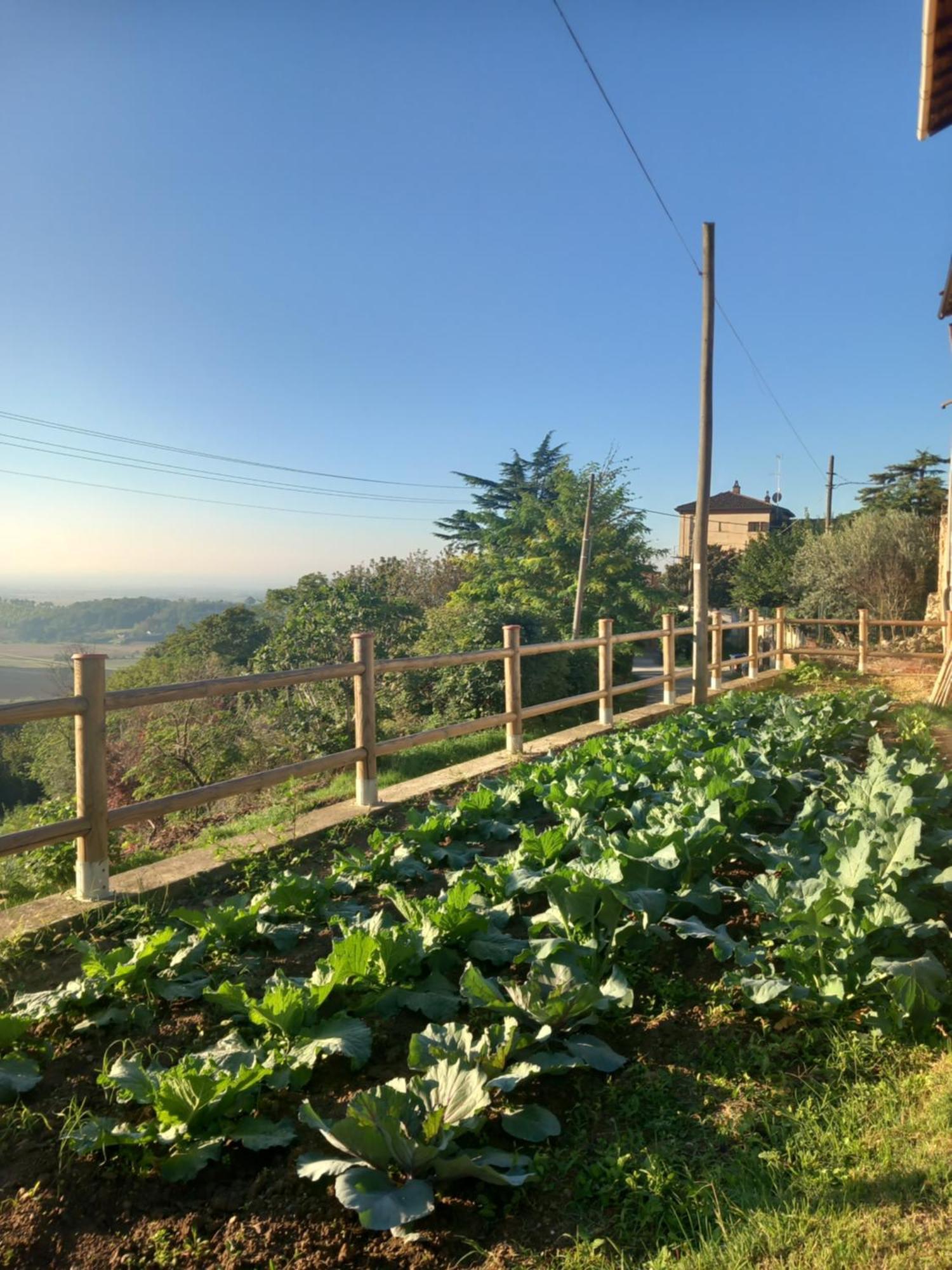 Bed and Breakfast Il Cortile Di Greta Lu (Piedmont) Exteriér fotografie